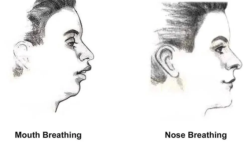 Nasal Breathing vs Mouth Breathing